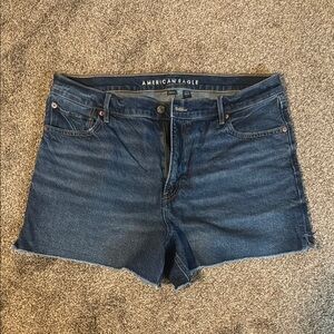 American Eagle Relaxed Shorts